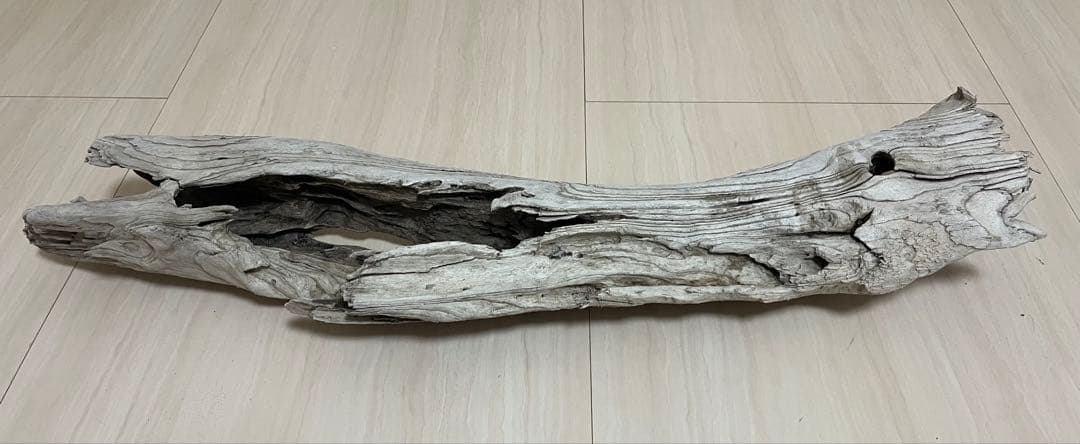 流木 水槽 花器 煮沸未処理 クラフト 80cm