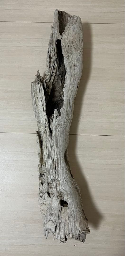 流木 水槽 花器 煮沸未処理 クラフト 80cm