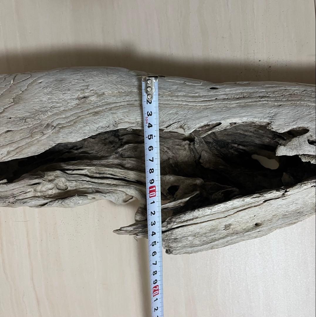 流木 水槽 花器 煮沸未処理 クラフト 80cm