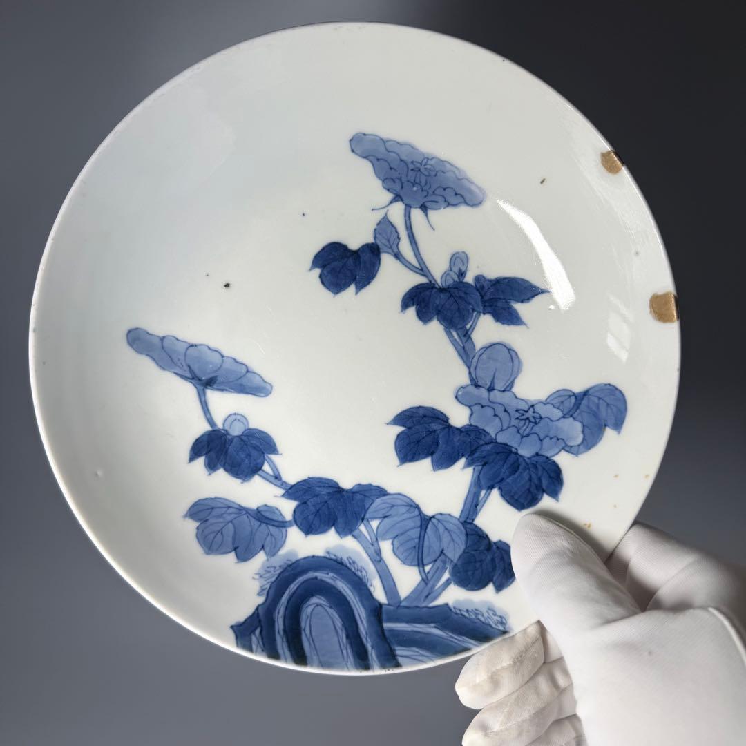 後期鍋島　染付芙蓉文中皿　六客　江戸後期〜明治初期　同手図録掲載品　20.7cm