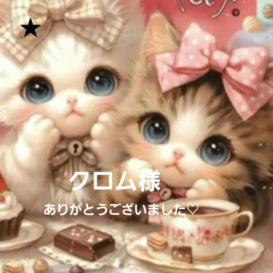 クロム様確認用