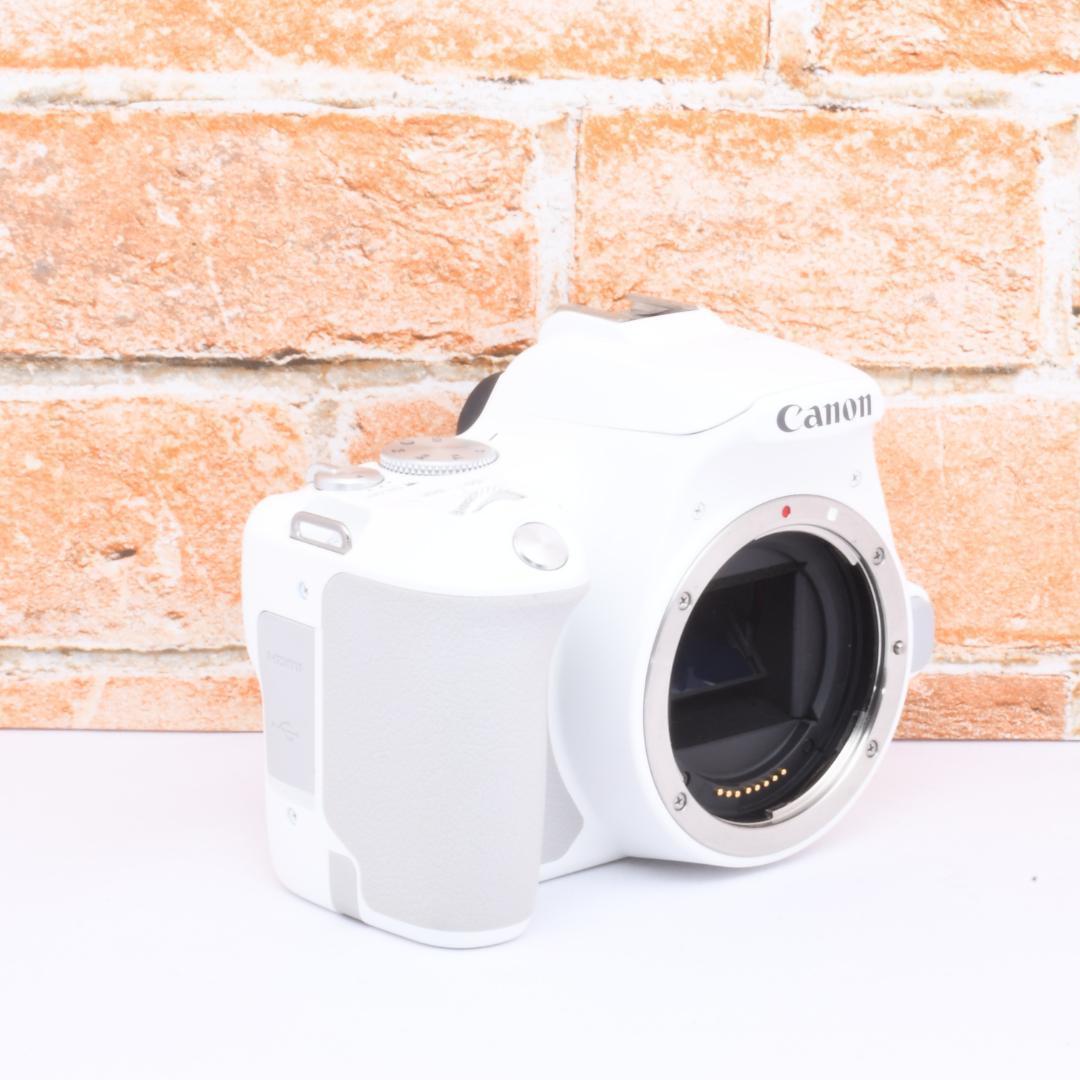 Canon Kiss X10 ホワイト✨標準＋単焦点レンズ✨付属品多数セット